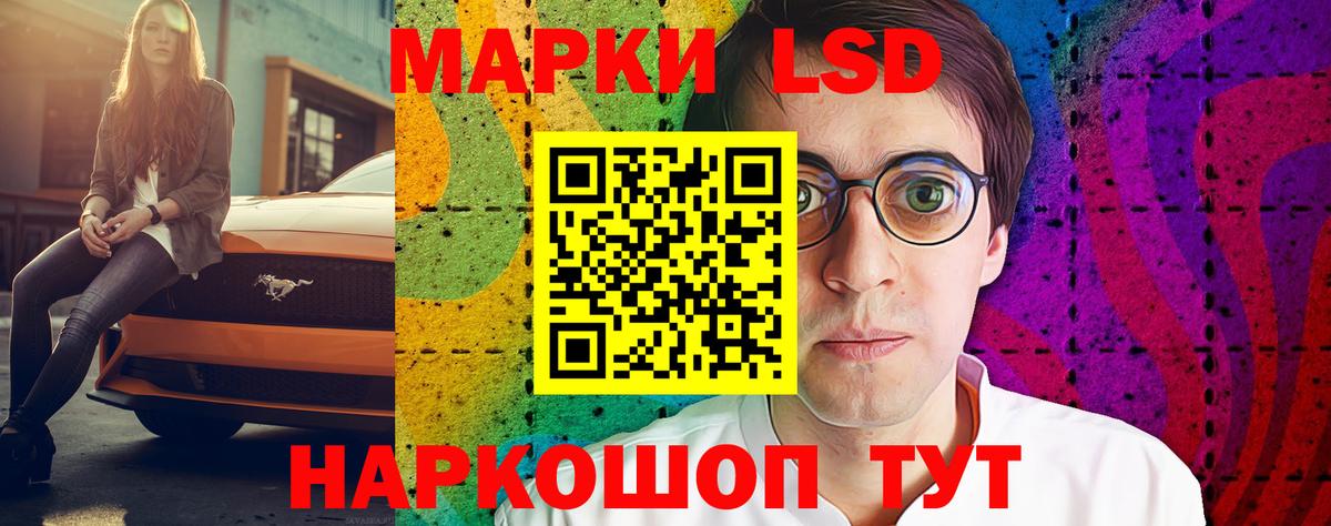 Новозыбков  LSD-25 экстази ecstasy  Лсд 25 экстази кислота  hydra как зайти  Вход с VPN 