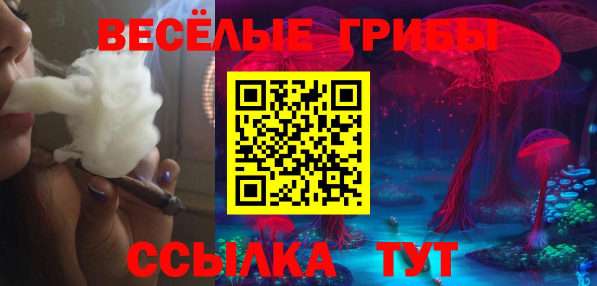Новозыбков  даркнет сайт  Вход с VPN  Галлюциногенные грибы GOLDEN TEACHER 