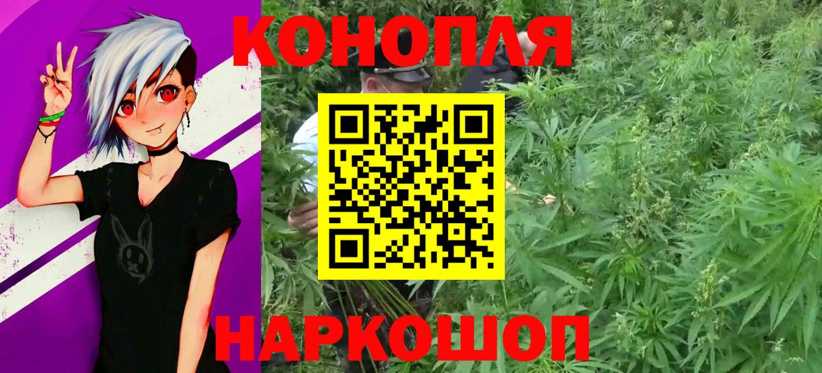 Каннабис Bruce Banner  Вход с VPN  Канабис марихуана  Новозыбков 